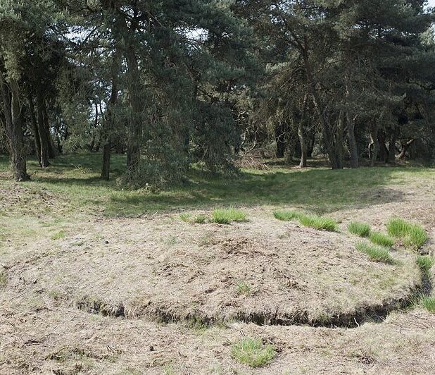Een grafheuvel op de Boshoverheide in Weert