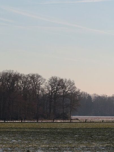 Coulissenlandschap in Twente