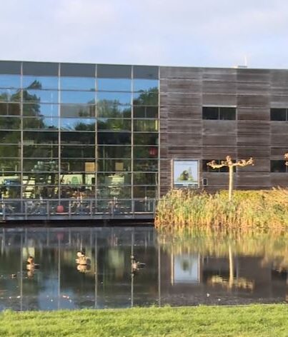 De Kemphaan in Almere
