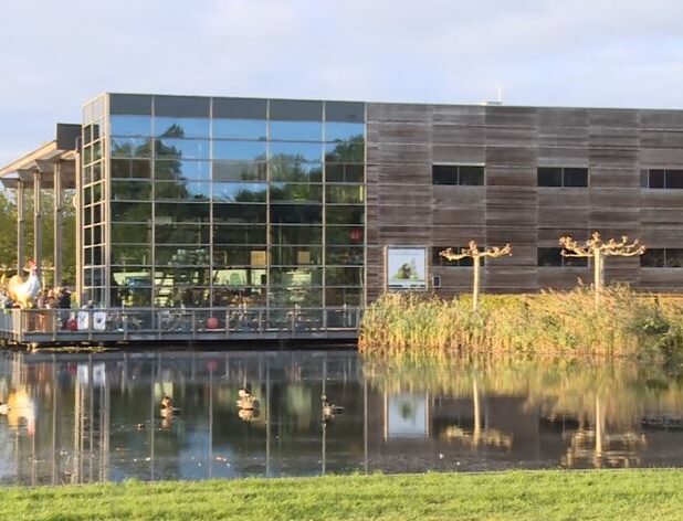 De Kemphaan in Almere
