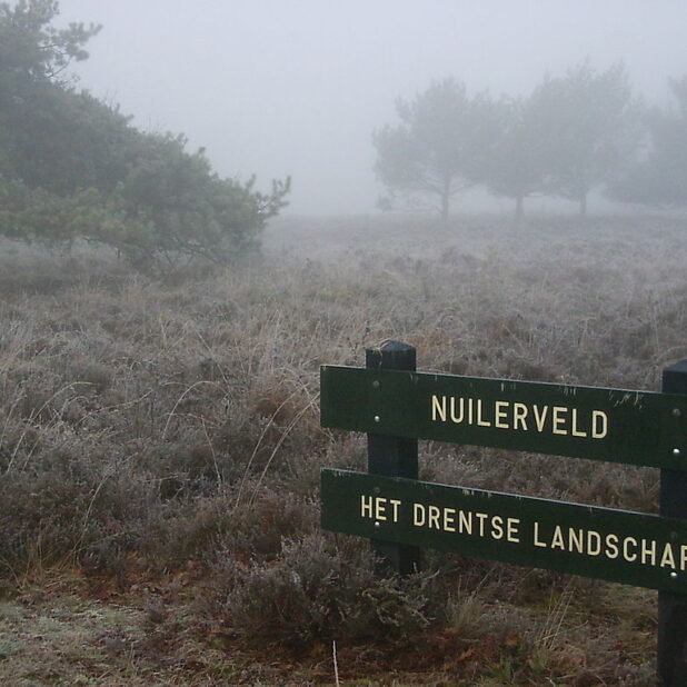 Het Nuilerveld bij Pesse