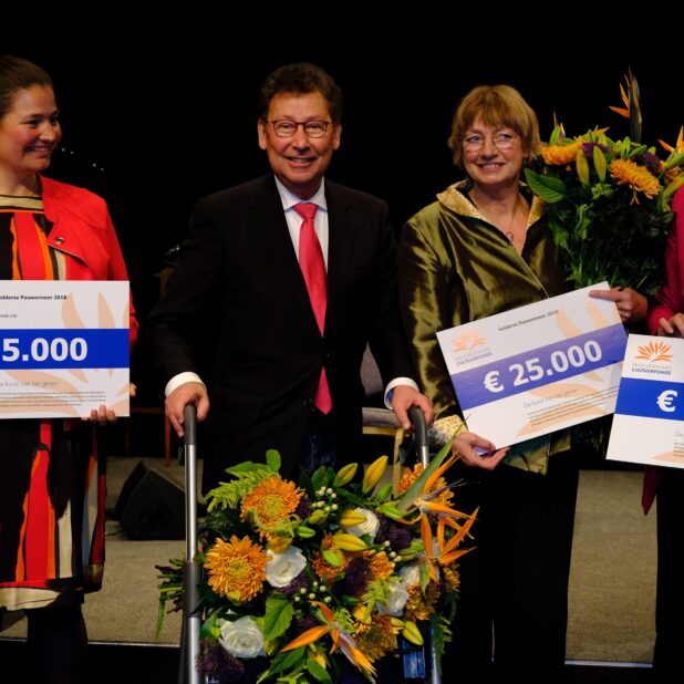 Gelderse Pauwenveer