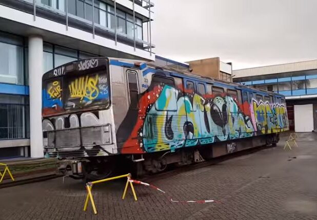 De nu nog flink toegetakelde Zilvermeeuw
