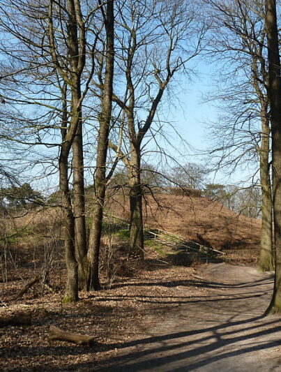 Het Romeinse Limespad voert langs de Duivelsberg (Gelderland)