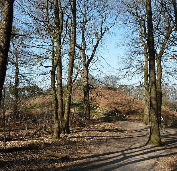 Het Romeinse Limespad voert langs de Duivelsberg (Gelderland)
