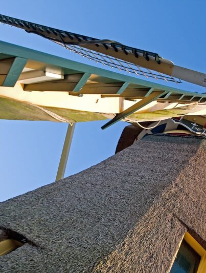 Molen De Lelie, Rotterdam