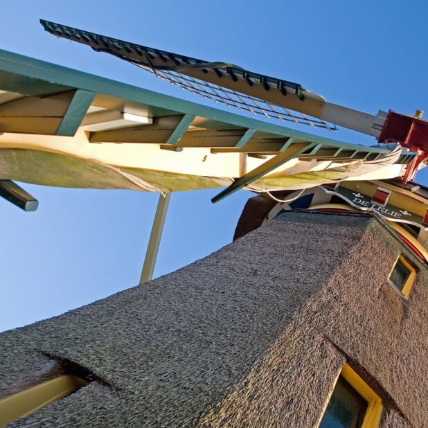 Molen De Lelie, Rotterdam