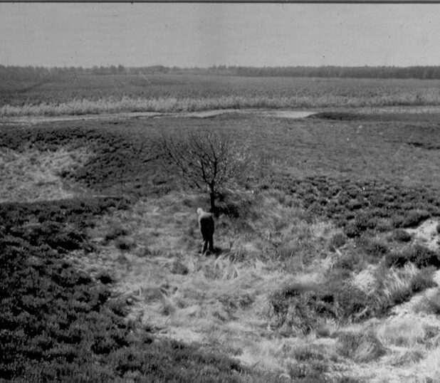 IJzerkuilen op de Asselsche Heide op de Veluwe met op de foto de Apeldoornse amateurarcheoloog Jaap Moerman