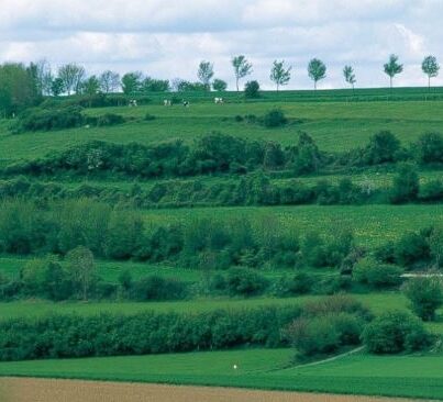 Graftenstelsel in Zuid-Limburg