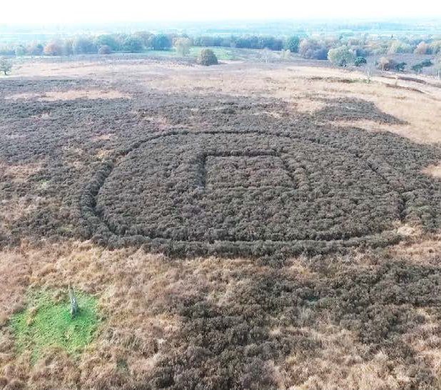 Structuur op de Mookerheide q