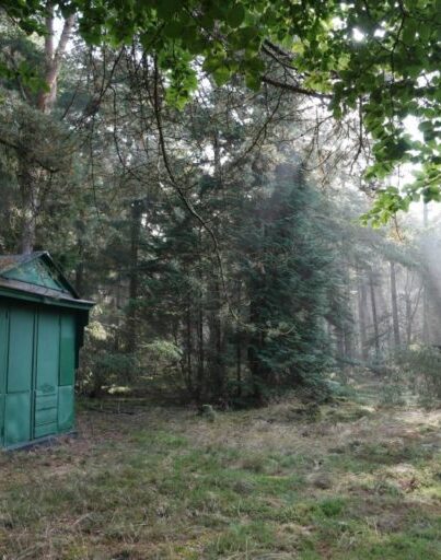 Het theehuisje in het bosgebied Noorderduinen bij Roderesch