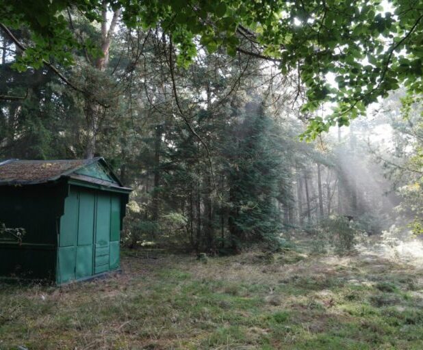 Het theehuisje in het bosgebied Noorderduinen bij Roderesch