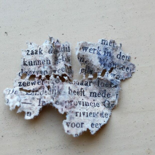 Sporen uit havezate Oldengaerde,