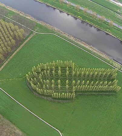 De Groene Kathedraal in Almere