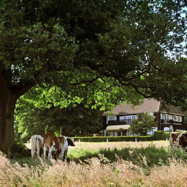 Landgoed overijssel