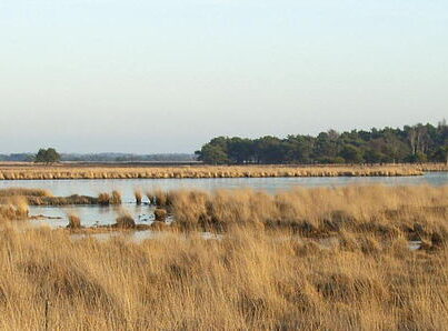 Waschven op de Strabrechtse heide