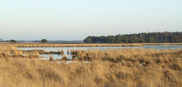 Waschven op de Strabrechtse heide