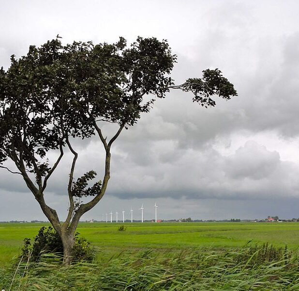 Veenweidegebied in Zuidwest-Friesland