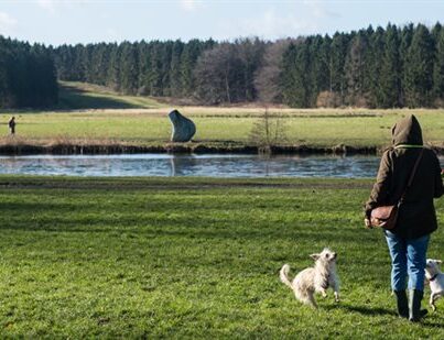 Het Amsterdamse Bos