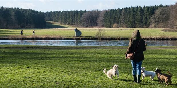 Het Amsterdamse Bos
