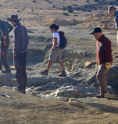 Opgraving op de Jurassic Mile
