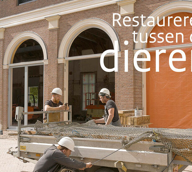 Nummer 3 van 2019 van het Tijdschrift van de Rijksdienst voor het Cultureel Erfgoed