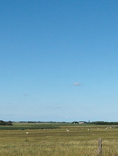 Hoge Berg Texel