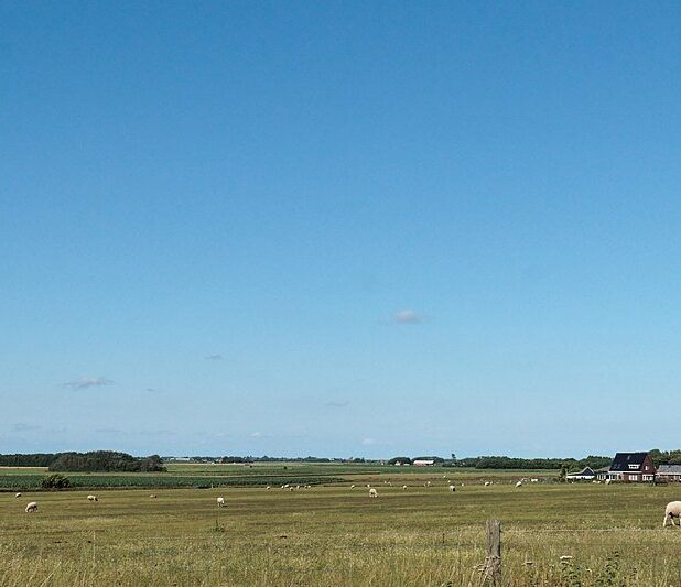 Hoge Berg Texel