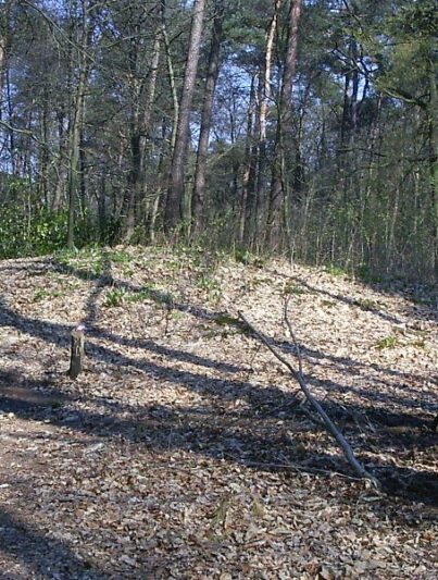 Grafheuvel Arnhem