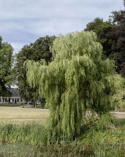 Landgoed Reuversweerd