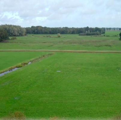 Uitblazingskom in de Duunsche Landen