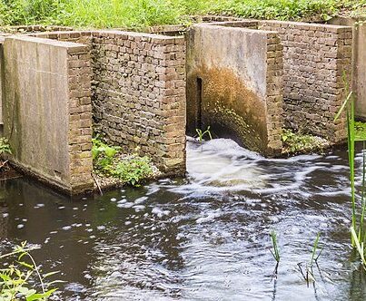 Het Waterloopbos in Marknesse