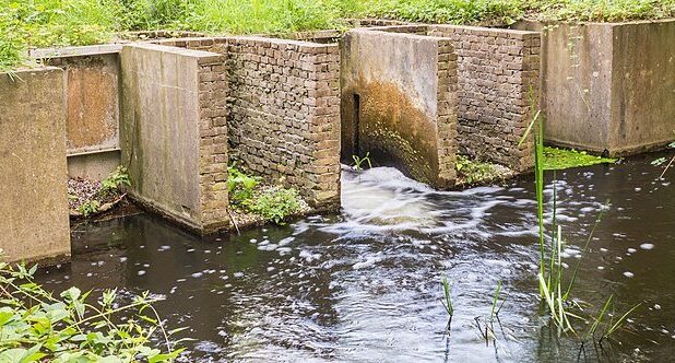 Het Waterloopbos in Marknesse