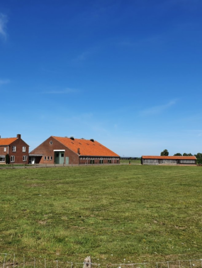 Een wederopbouwboerderij in het Land van Maas en Waal