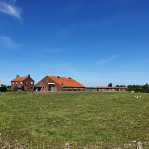 Een wederopbouwboerderij in het Land van Maas en Waal