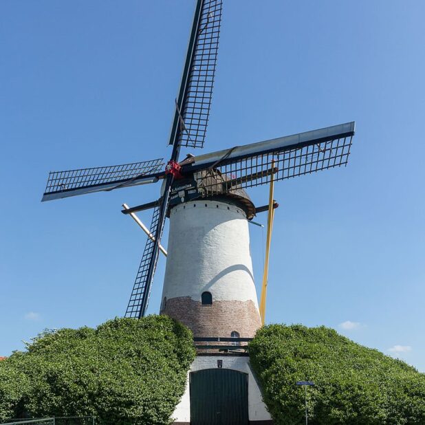 Sint Antoniusmolen in Halsteren