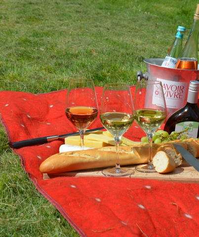 Picknick