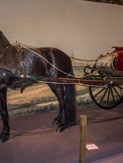 Fries paard met sjees in het Fries Landbouwmuseum.