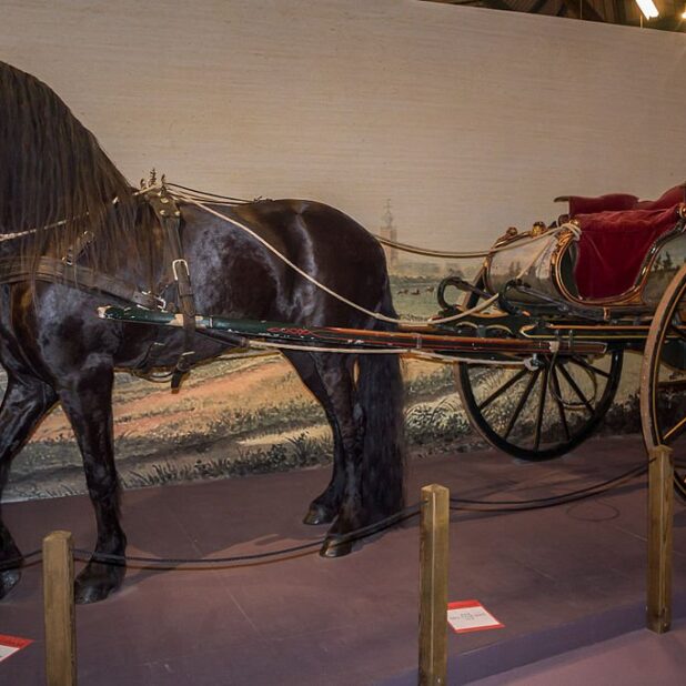 Fries paard met sjees in het Fries Landbouwmuseum.