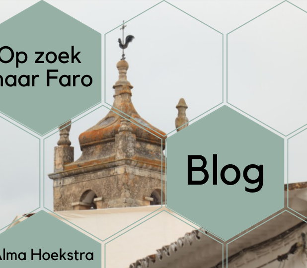 op zoek naar Faro
