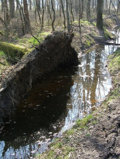 Landgoed Het Lankheet in Haaksbergen.