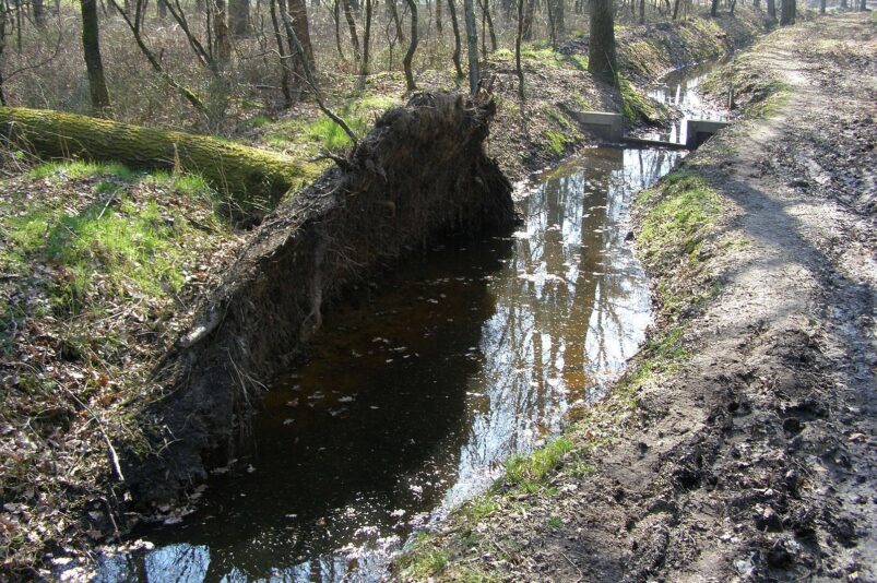 Landgoed Het Lankheet in Haaksbergen.
