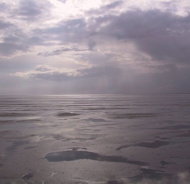 De Waddenzee