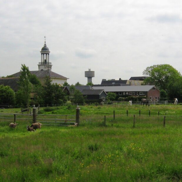 Zicht op kerk en watertoren Sint Jacobiparochie.