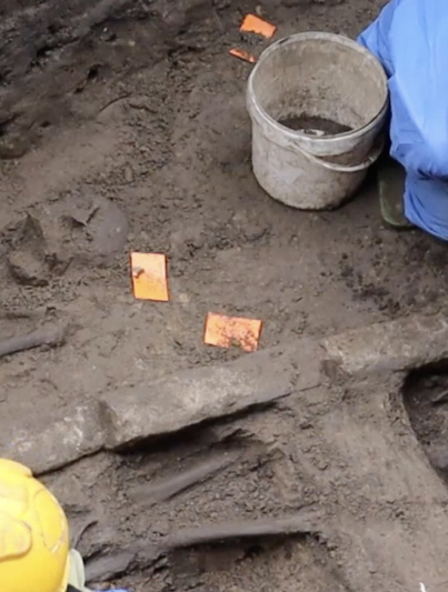 Skeletten worden opgegraven op het Grote Kerkhof in Deventer.